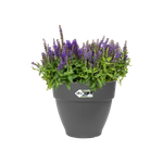 vibiacampana round 30cm anthracite